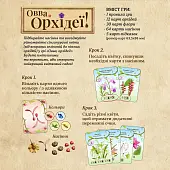 Миниатюра товара Настольная игра ОВВА. Орхидеи! (Oh My. Orchids!) - 2