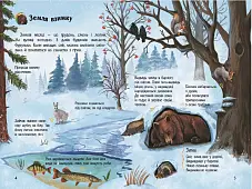 Мініатюра товару Енциклопедія дошкільника. Наша планета - 4