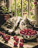 Алмазная мозаика Котёнок на окне (40х50 см) Алмазная мозаика Котёнок на окне (40х50 см)