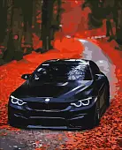 Миниатюра товара Картина по номерам BMW (50х60 см) - 1