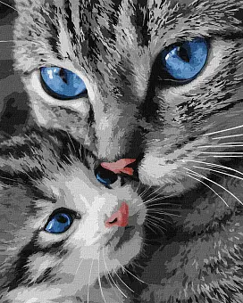 Картина за номерами Муркотлива киця (40х50 см)