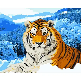 Картина по номерам Тигр у засніжених горах (40х50 см)