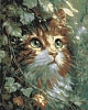 Алмазная мозаика Милый котенок (40х50 см)