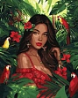 Миниатюра товара Картина по номерам Девушка в тропиках (40х50 см) - 1