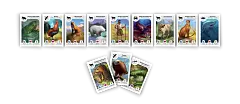 Мініатюра товару Настільна гра Картолінія: Тварини (Cardline: Animals) - 4