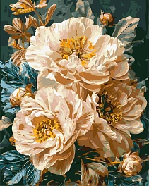 Картина по номерам Ніжні півонії (40х50 см)