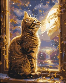 Картина по номерам Котик в космосе (40х50 см)