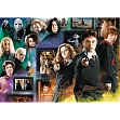 Миниатюра товара Пазл Гарри Поттер: Магический мир (1000 шт.) - 1