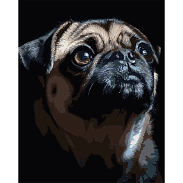 Картина по номерам Портрет мопса (40х50 см)