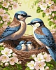 Картина за номерами Родина синиць (40х50 см)