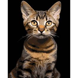 Картина по номерам Полосатый кот (40х50 см)