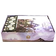 Миниатюра товара Органайзер для настольной игры Анахрония (Organizer for boardgame Anachrony) - 2