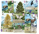 Миниатюра товара Настольная игра Лесная неразбериха. Альпы (Forest Shuffle: Alpine Expansion) - 2