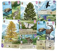 Миниатюра товара Настольная игра Лесная неразбериха. Альпы (Forest Shuffle: Alpine Expansion) - 2