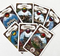 Мініатюра товару Настільна гра Ticket to Ride. Poland (Квиток на потяг: Польша) (EN) - 3