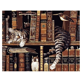 Картина по номерам Котик на полиці з книгами (40х50 см)