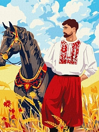 Картина по номерам Казак на поле (30х40 см)