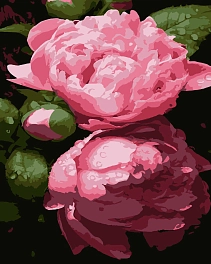 Картина по номерам Нежное цветение (40х50 см)