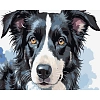Картина по номерам Собачий портрет (40х50 см)