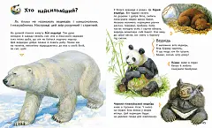 Мініатюра товару Енциклопедія дошкільника - 5