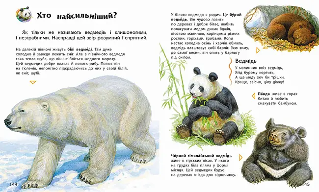 Енциклопедія дошкільника, бренду Ранок - 5 - KUBIX