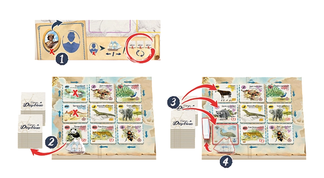 Настольная игра Следами Дарвина (In the Footsteps of Darwin), бренду Feelindigo, для 2-5 гравців, час гри < 30мин. - 3 - KUBIX