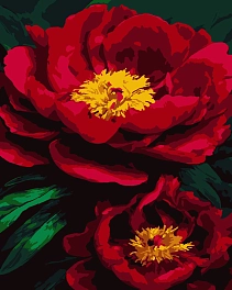 Картина по номерам Бархатная роскошь (50х60 см)