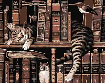 Миниатюра товара Картина по номерам Кот с птичками в книжном магазине (40х50 см) - 1