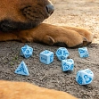 Миниатюра товара Набор кубиков DOGS Dice Set: Max - 2