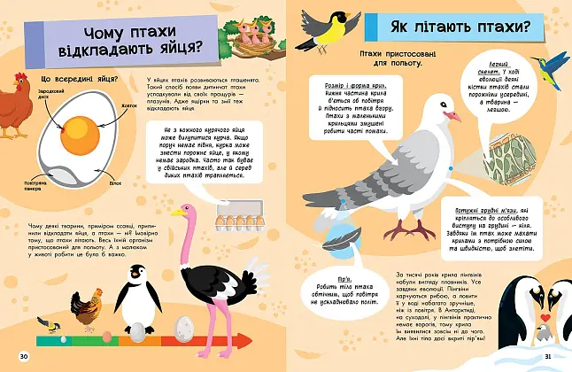 Велика енциклопедія для чомусика, бренду Ранок - 5 - KUBIX