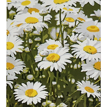 Картина по номерам Ромашкове поле (30х40 см), бренду Strateg - KUBIX