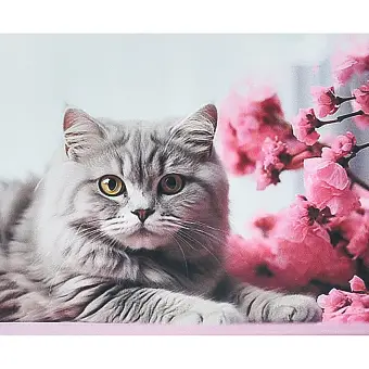 Алмазная мозаика Кот на цветочном фоне (40х50 см) - KUBIX Алмазная мозаика Кот на цветочном фоне (40х50 см)