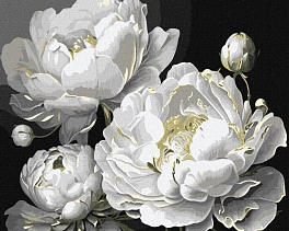 Картина по номерам Бездоганні квіти (40х50 см)