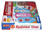 Миниатюра товара Пазл Строение тела - 6