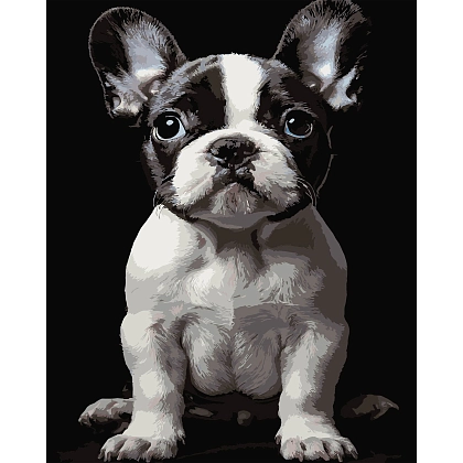 Картина по номерам Маленький пес (40х50 см), бренду Strateg - KUBIX