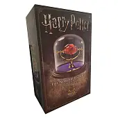 Миниатюра товара Фигурка Философский камень. Гарри Поттер (HARRY POTTER. Sorcerer's Stone Replica) - 4