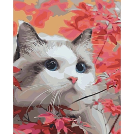 Картина по номерам Погляд муркотливого (40х50 см)
