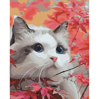 Картина по номерам Погляд муркотливого (40х50 см)