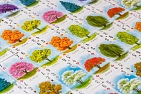 Миниатюра товара Настольная игра Арборетум (Arboretum) - 4