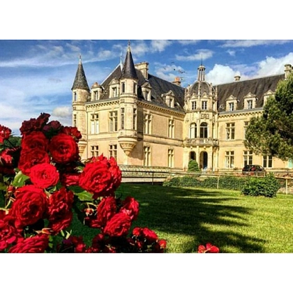 Алмазная мозаика Замок залитый солнцем (50х65 см), бренду Strateg - KUBIX