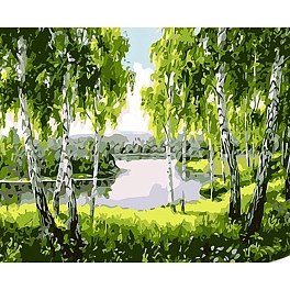 Картина по номерам Березовий рай (30х40 см)
