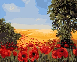 Картина по номерам Польові маки (40х50 см)