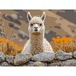 Миниатюра товара Картина по номерам Альпака на камне (30х40 см) - 1
