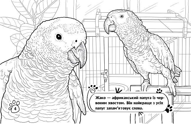 Розмальовка Тварини в оселі, бренду Ранок - 2 - KUBIX