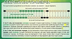 Миниатюра товара Настольная игра Кодовые имена: Дуэт (Codenames: Duet) - 6