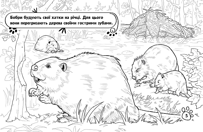 Розмальовка Тварини в лісі, бренду Ранок - 2 - KUBIX