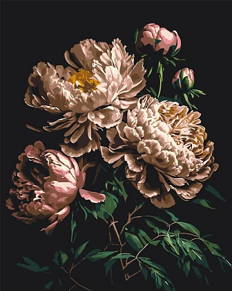 Картина по номерам Білі півонії (40х50 см), бренду Origami - KUBIX