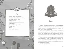 Миниатюра товара Книга украденных снов - 4