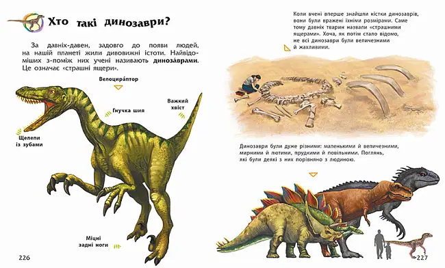 Енциклопедія дошкільника, бренду Ранок - 2 - KUBIX