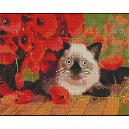 Алмазная мозаика Кот и маки (40х50 см)